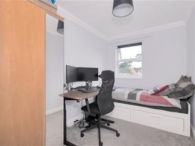 Picture 22